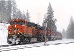 BNSF 3854